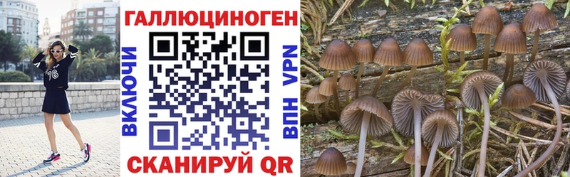 Псилоцибиновые грибы ЛСД Злынка